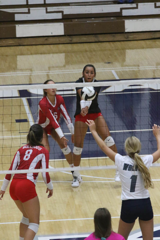 Gallery: Girls volleyball - Crown Point at Michigan City